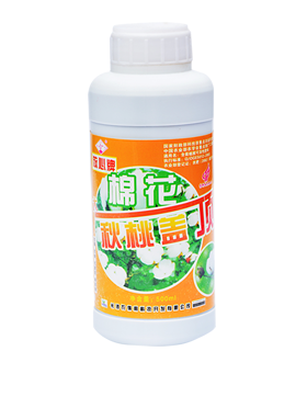 棉花秋桃蓋頂